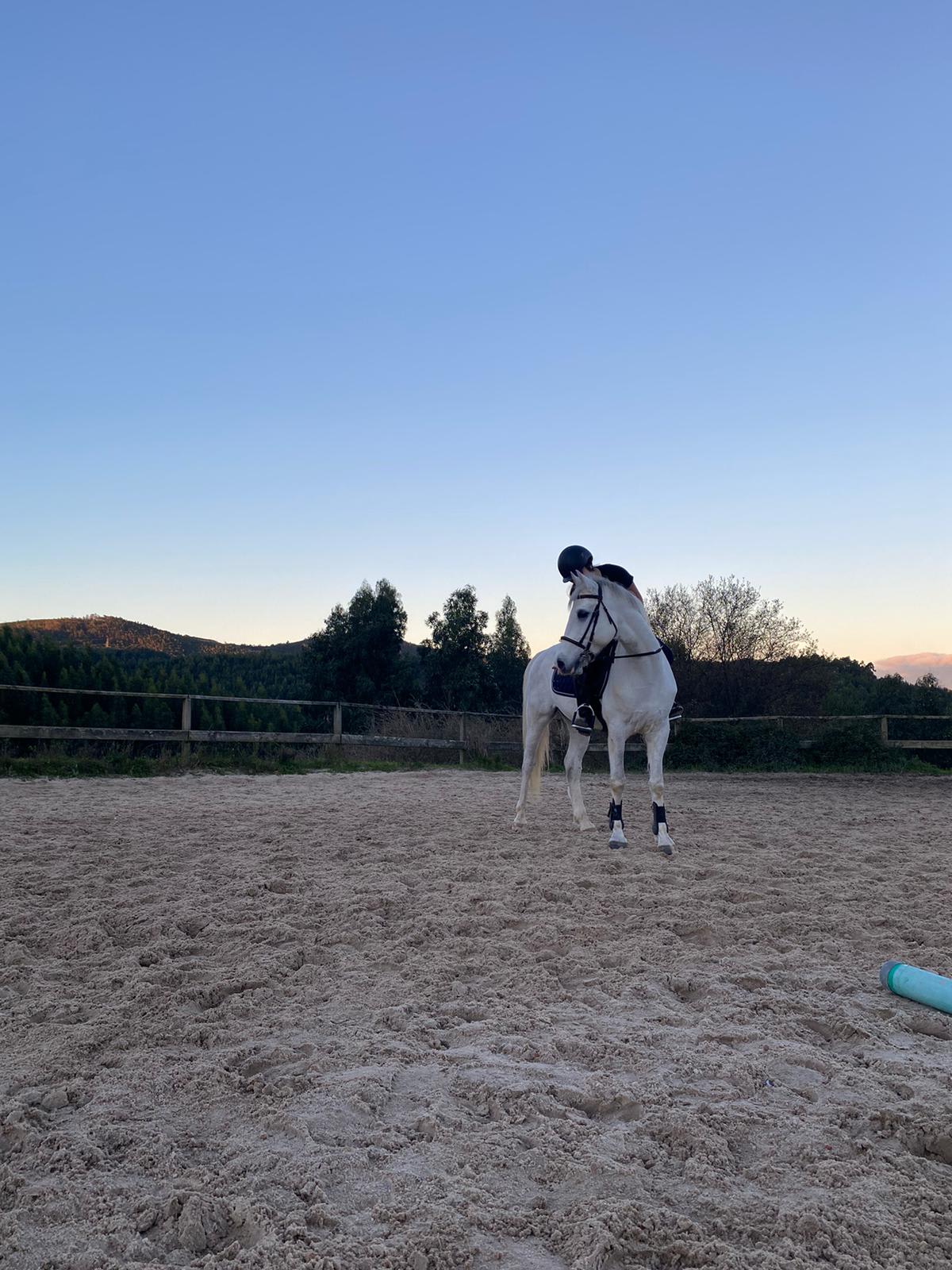 Club hípico EQUO ALALMA - Hipica en Ferrol