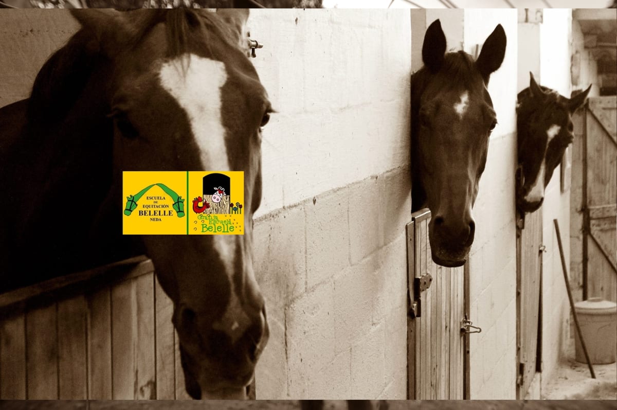 Escuela de equitación Belelle - Hipica en Os Pazos