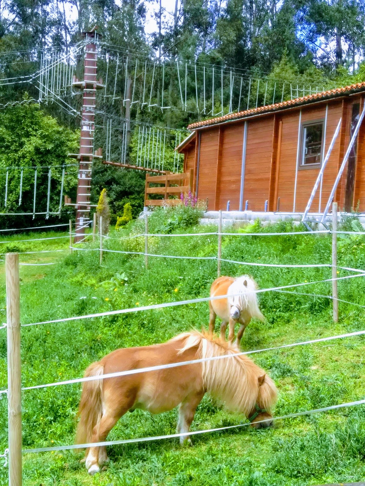 Paintball O Ventoso - Hipica in Laracha