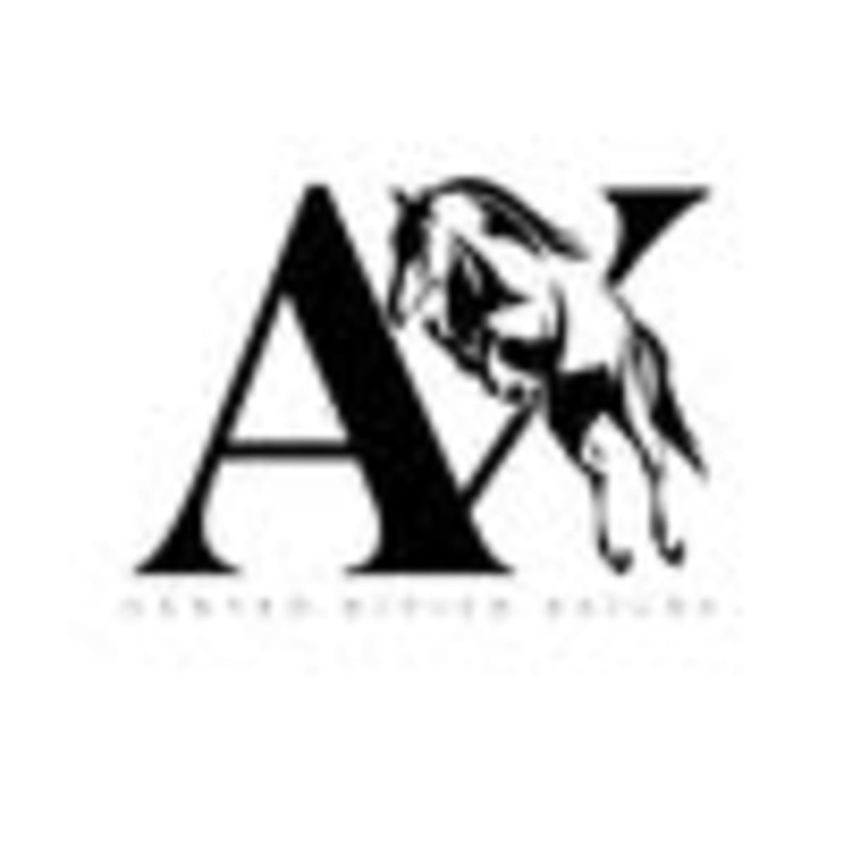 Centro Hípico Axilde - Hipica en Axilde