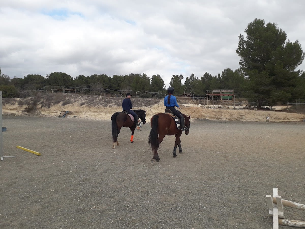 Club Hípico Calpe - Hipica in Calp