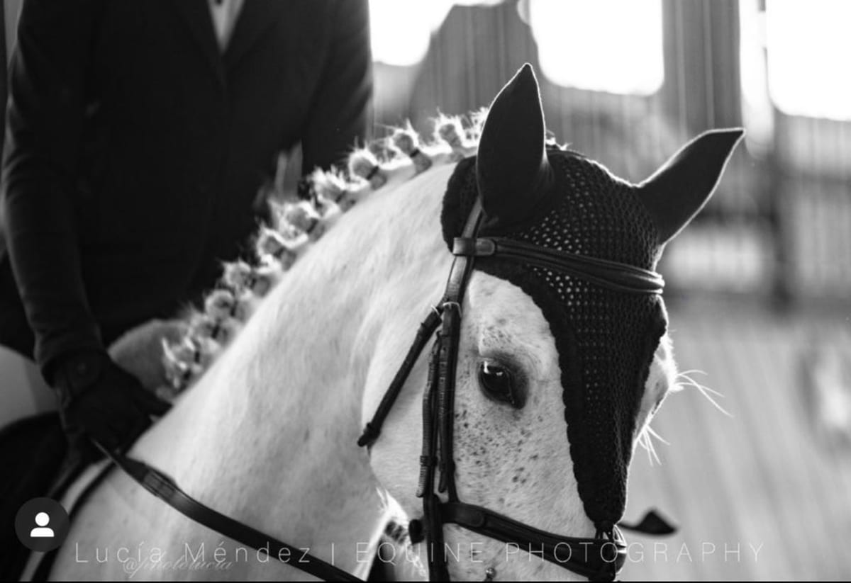 LeCocq Centro ecuestre - Hipica em Ferreiros