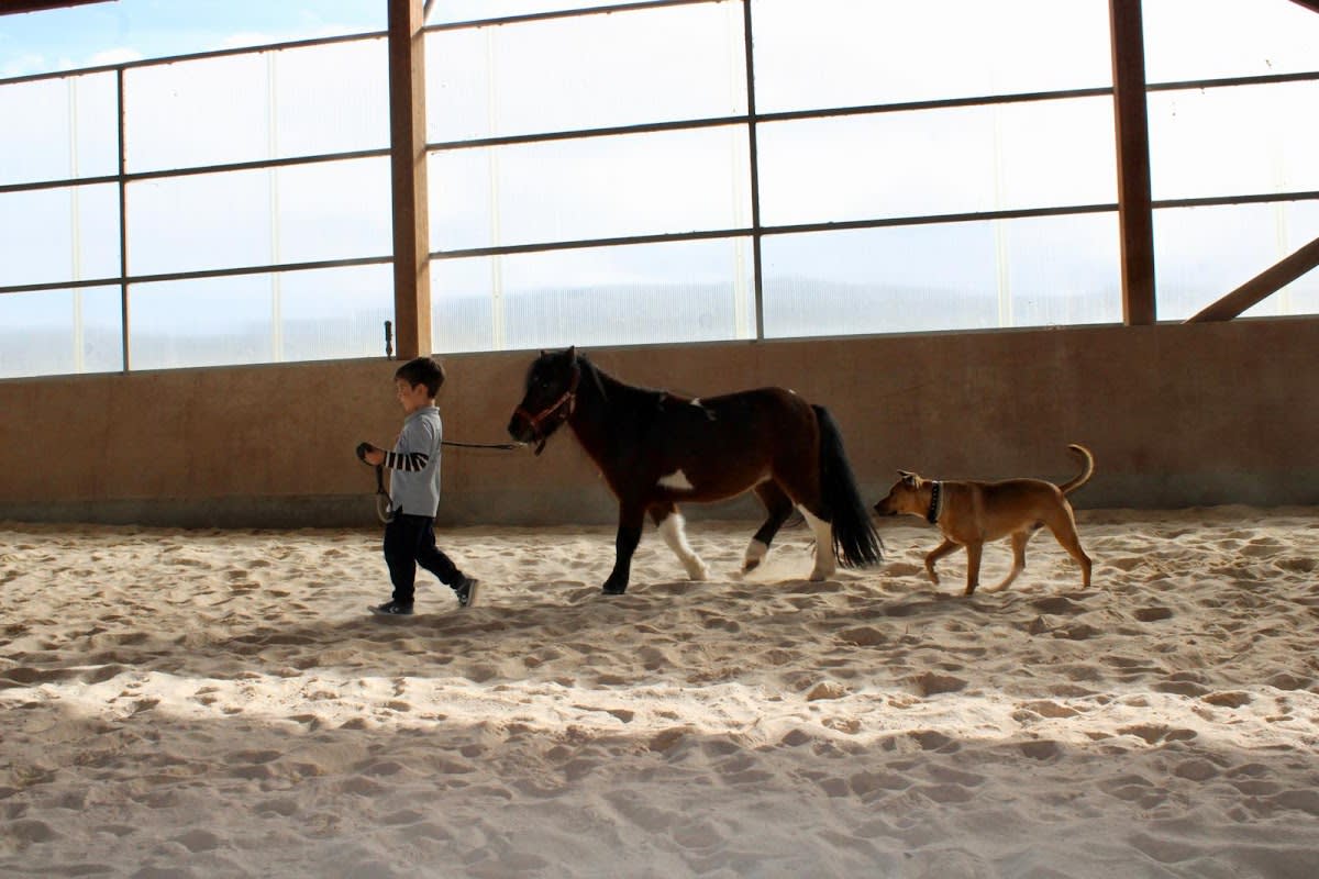 Club hípico Royal - Hipica a Oza dos Ríos
