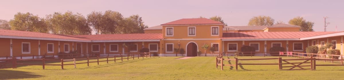 Escuela Hípica Madrid - Hipica in San Martín de la Vega