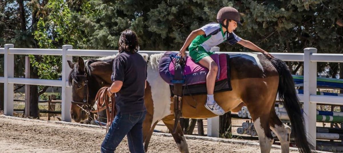 Horse Riding and Pony Club La Moraleja - Hipica in Alcobendas