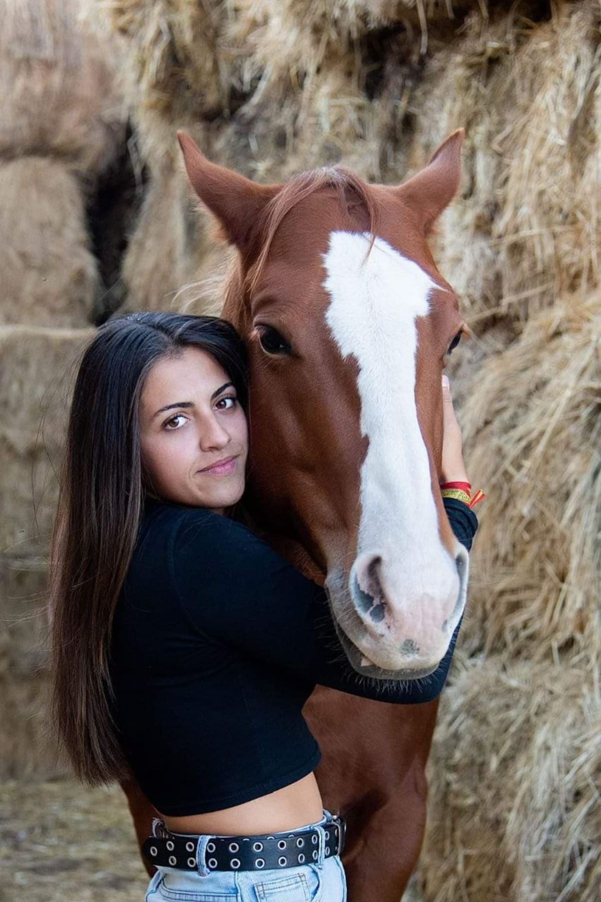 Hípica El Paseo - Hipica en Ortigosa del Monte
