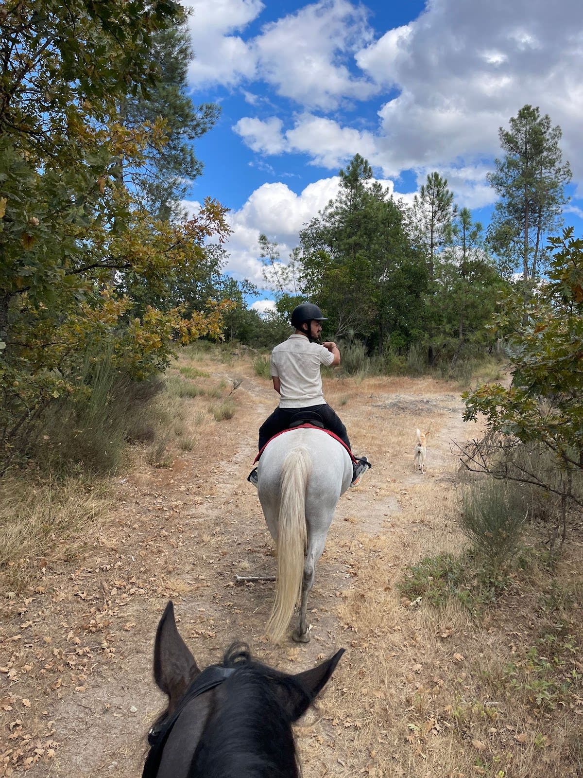 Quinta do Lameiro - Quinta Equestre - Hipica a Bornes de Aguiar