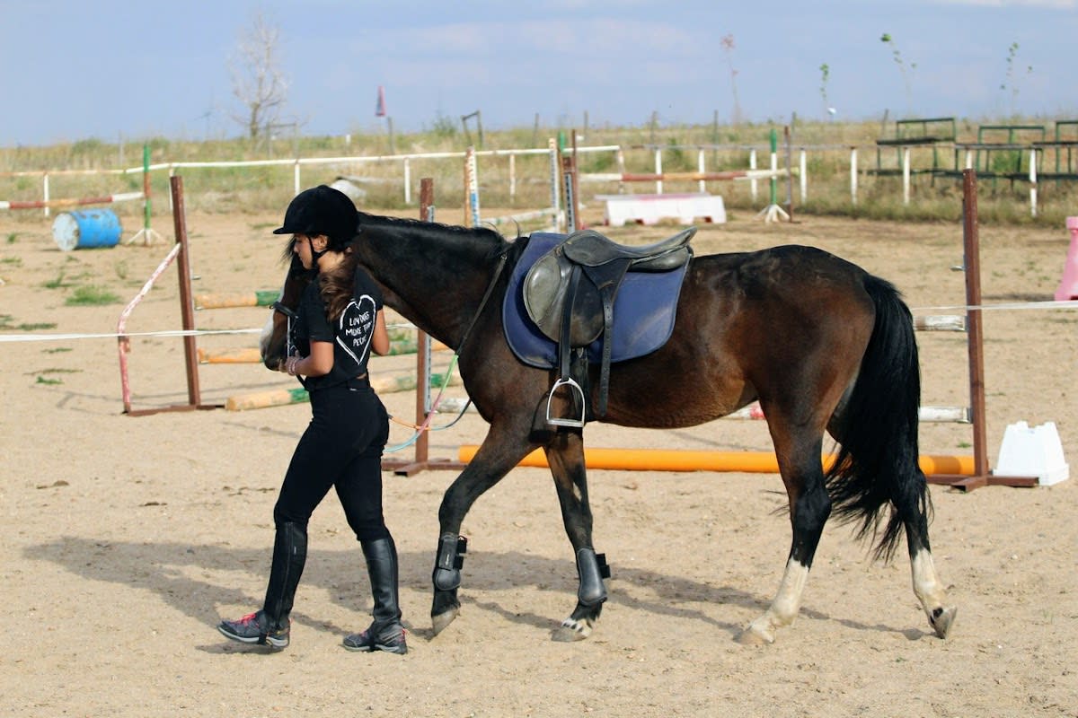 Yeguada Orión - Hipica en Cubillos