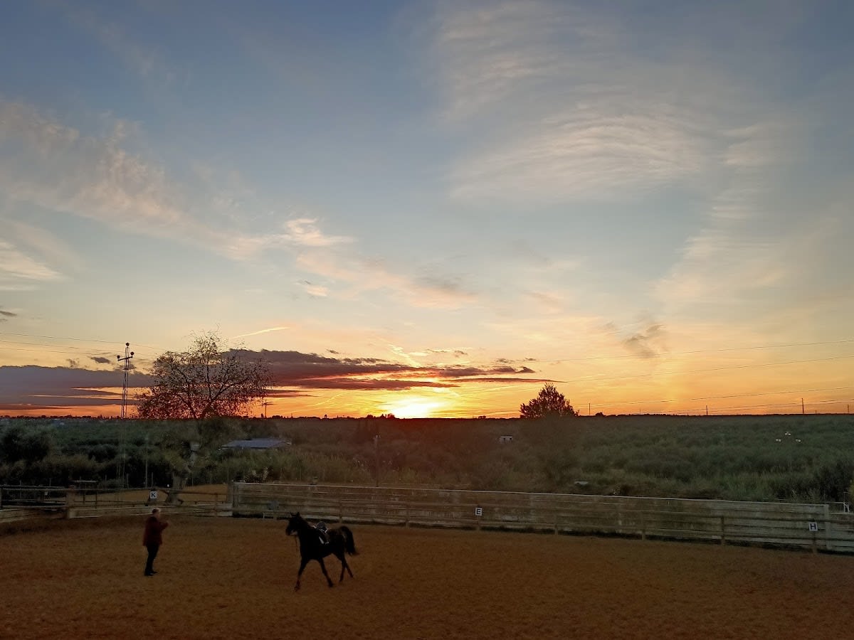 Club Hipico Sevilla - Hipica a Sevilla