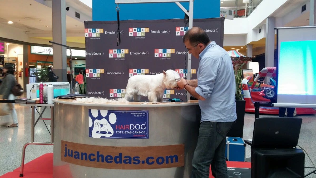 Academia J.Chedas - Hipica em San Sadurniño