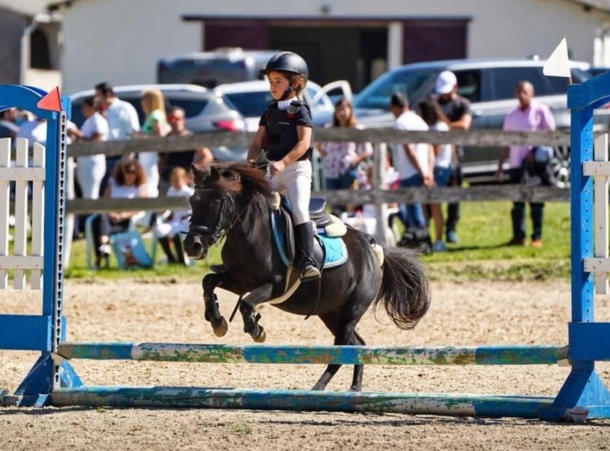 La Reina de los Ponis - Hipica in Asturias