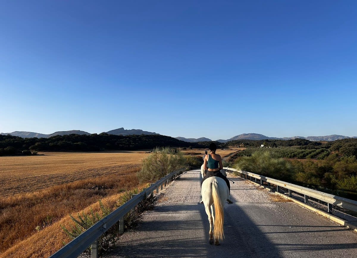 Cortijo Las Minas, Centro Ecuestre - Hipica in Salinas