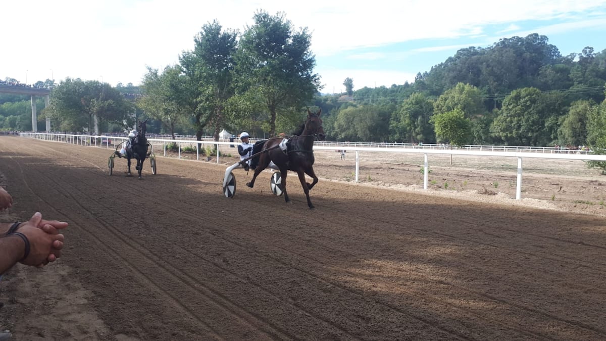 Hipódromo de Ponte de Lima - Hipica a Calvelo