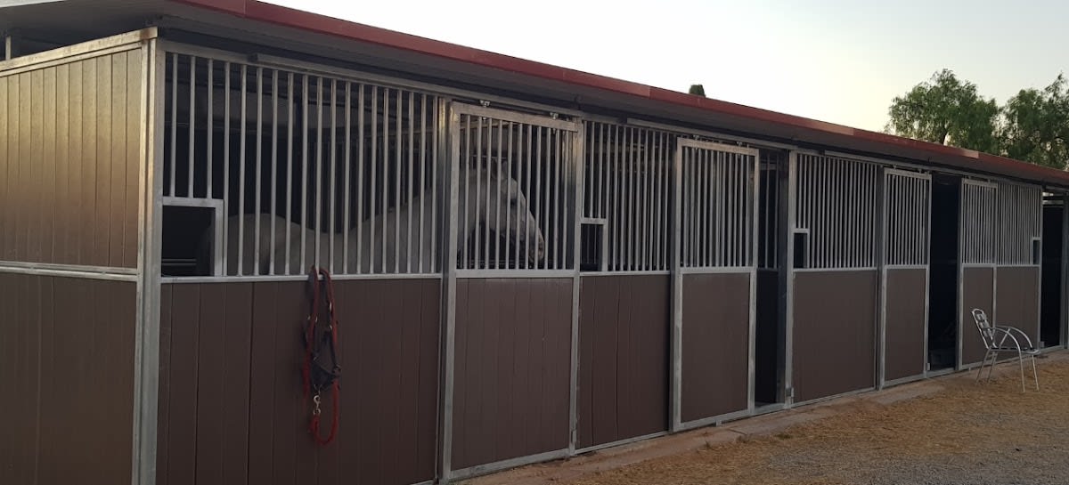 Hípica Equifrance - Hipica in Valencia