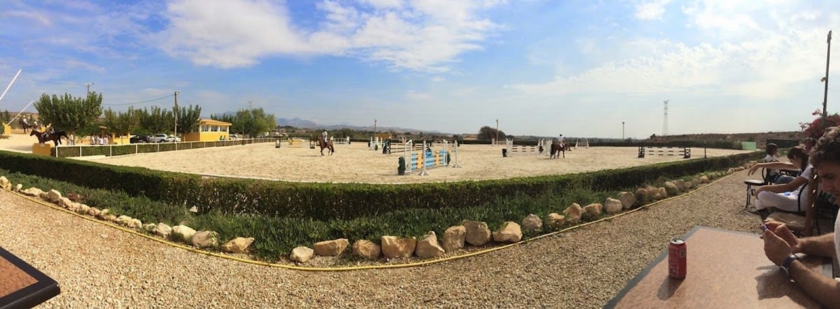 Club Hípico NCC Alicante - Hipica in Alicante (Alacant)