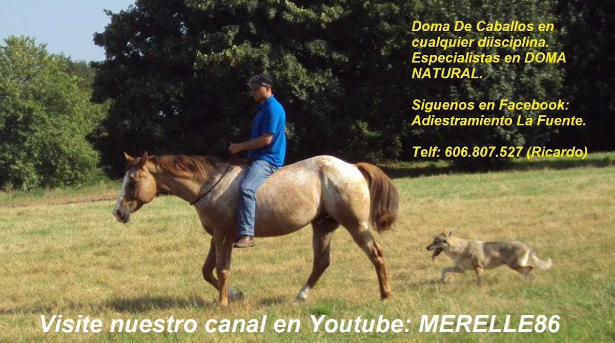 Ricardo Martínez Adiestramiento La Fuente - Hipica a Altamira