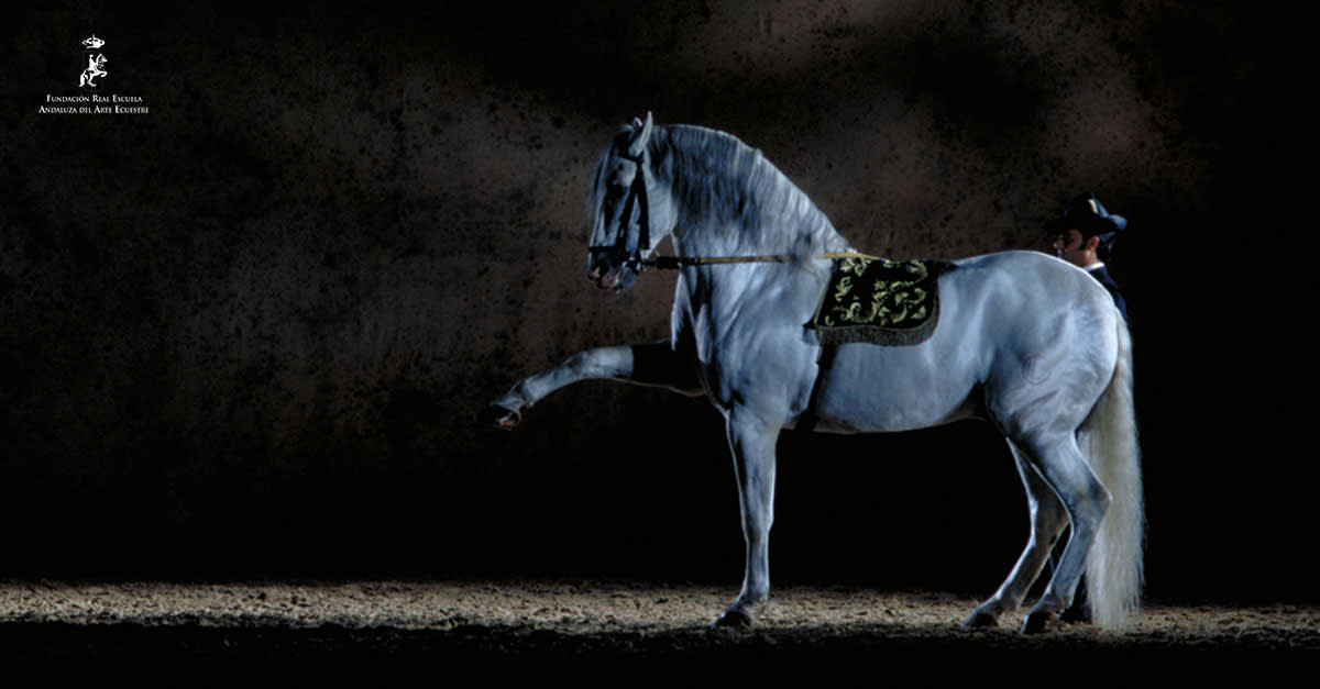 Royal Andalusian School of Equestrian Art - Hipica em Jerez de la Frontera