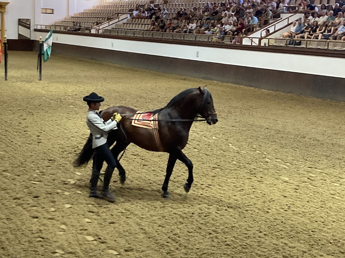 escuela arte ecuestre jerez - Hipica a Jerez de la Frontera