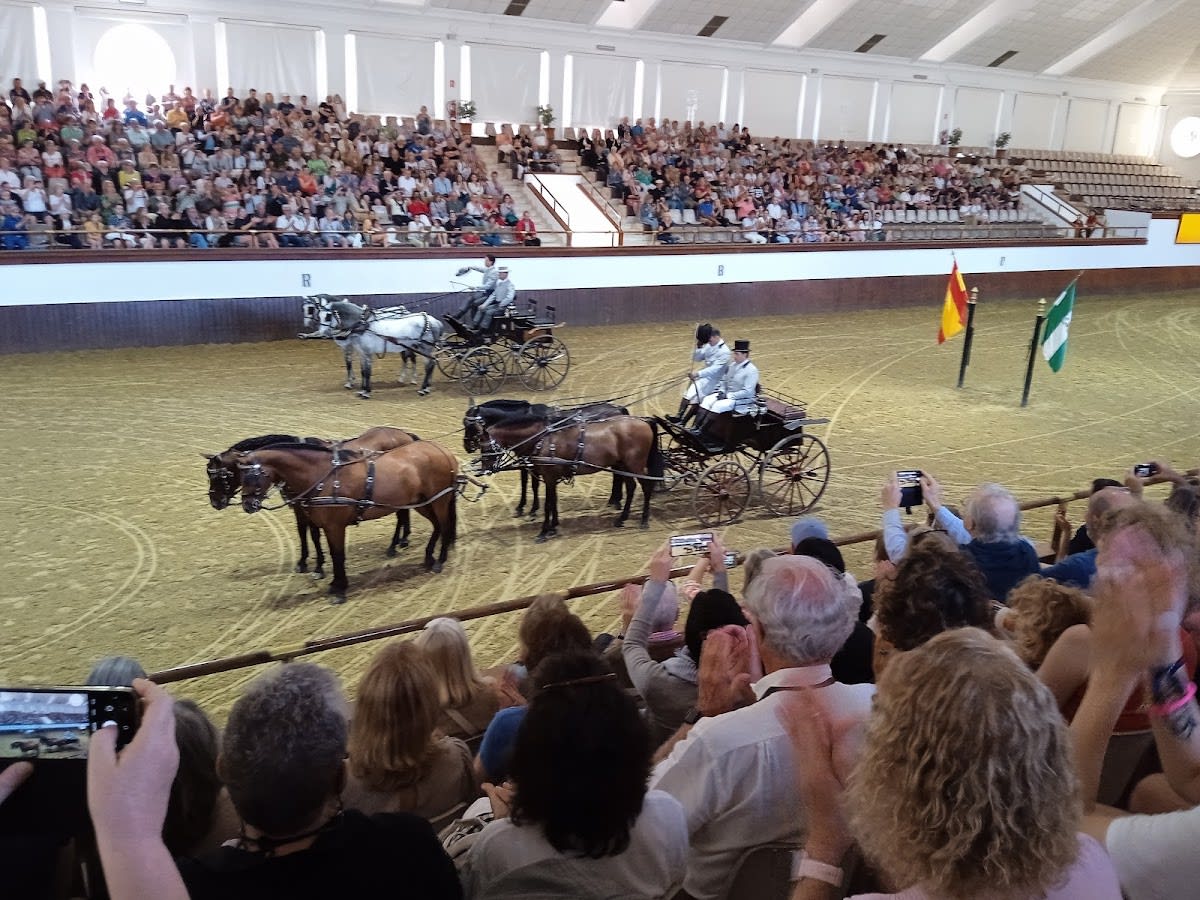 Escuela Andaluza de Arte Ecuestre - Hipica em Jerez de la Frontera