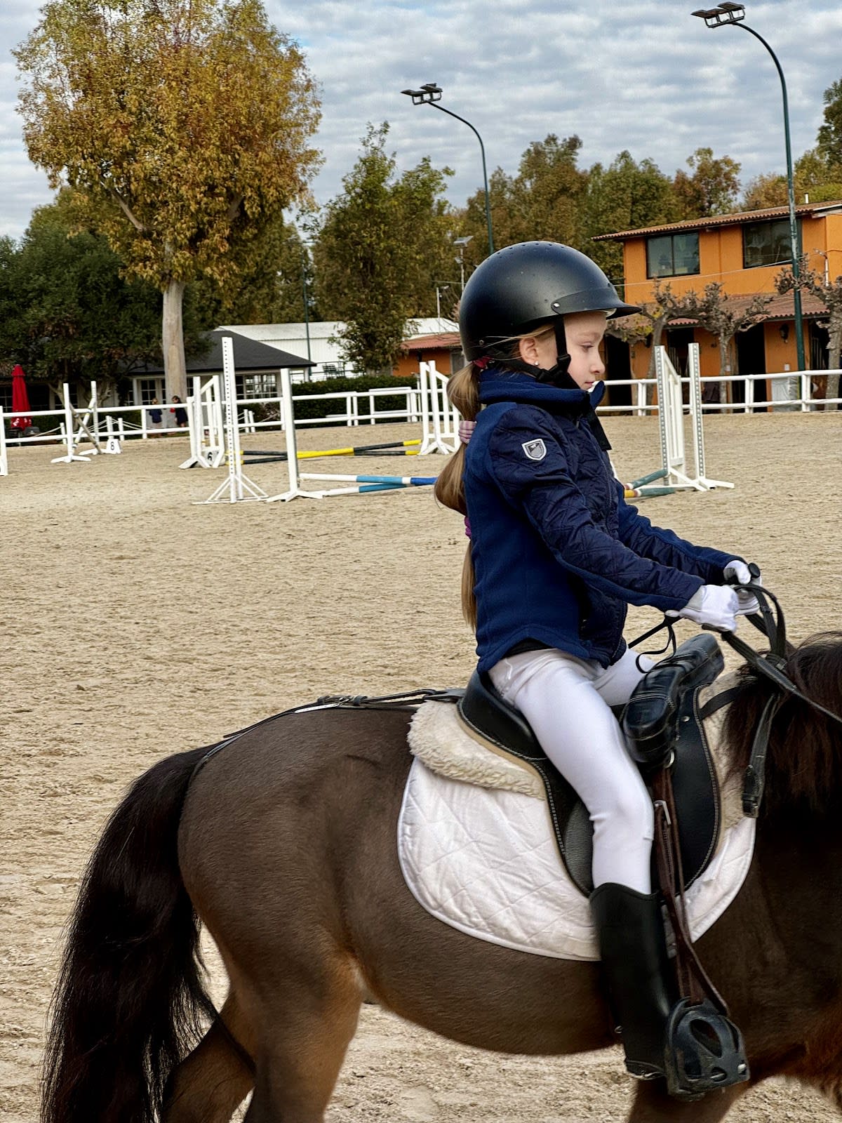 Open sports club - Hipica in El Prat de Llobregat