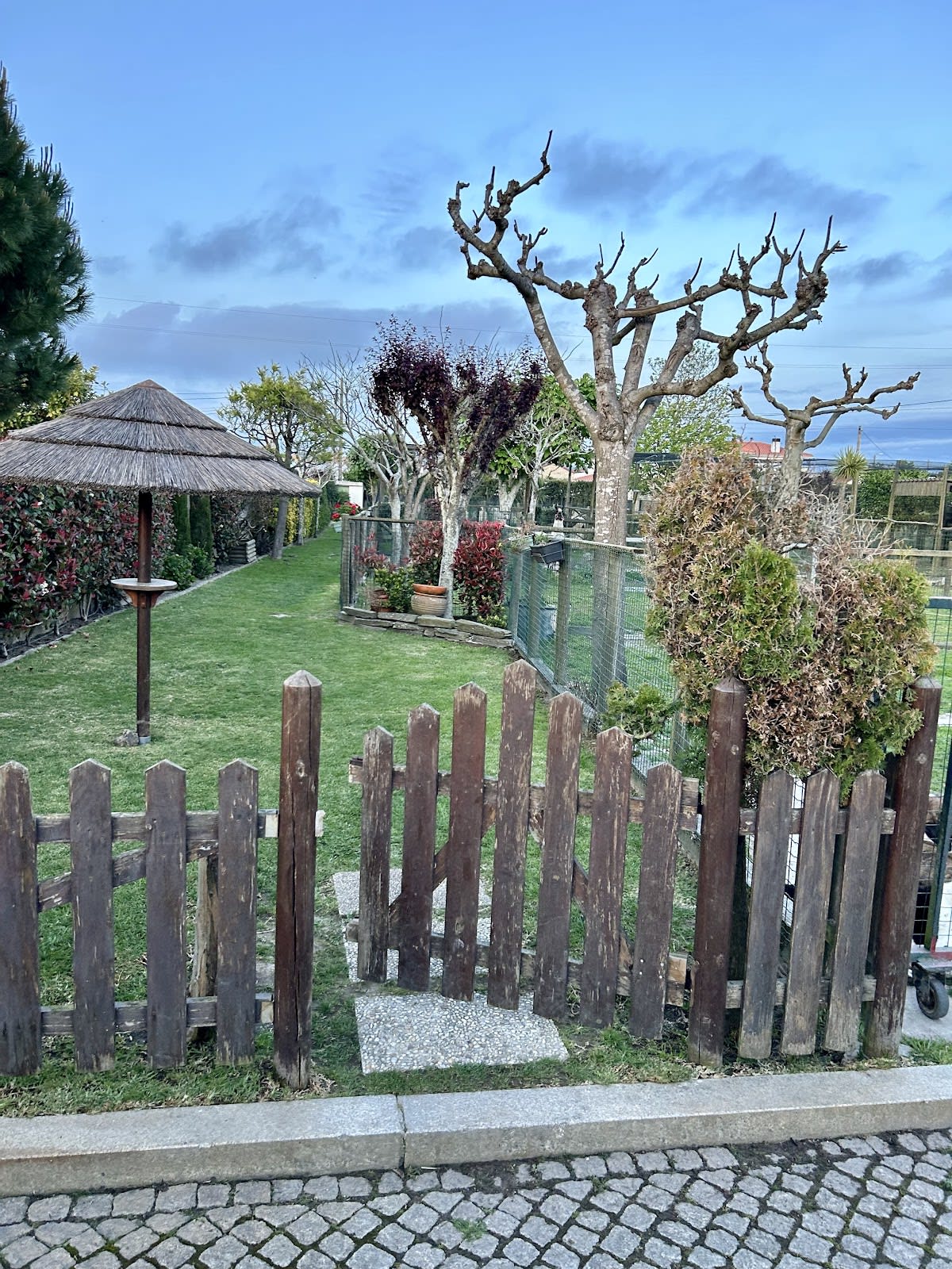 Picadeiro Aldeia Nova - Hipica en Amorim