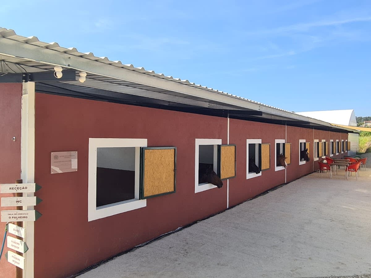 Associação Internacional Equestre - School Horses - Hipica in Pedroso