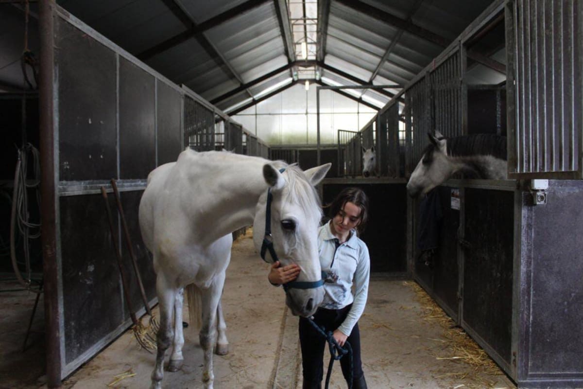 Centro Hípico Internacional do Porto - Hipica in Porto