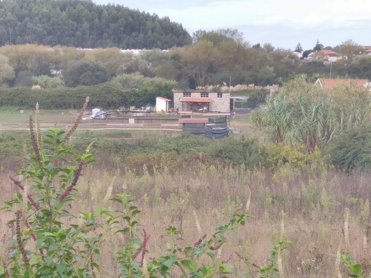 ASE - Associação Salutem ET Equus - Hipica in Valadares