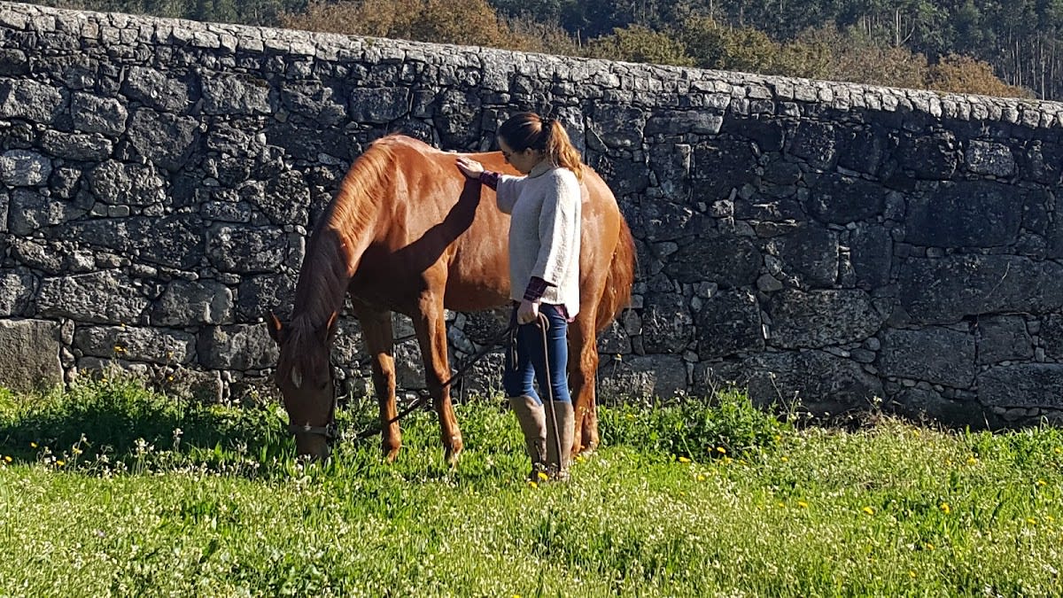 Coudelaria Vila Nova - Hipica em Monte Córdova
