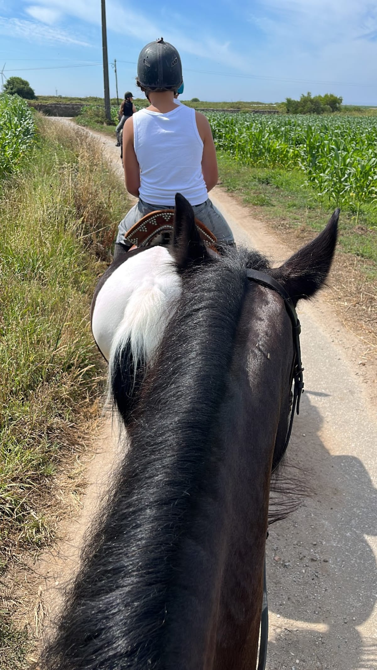 Horseback Riding Tour by Portugal Active - Hipica en Viana do Castelo
