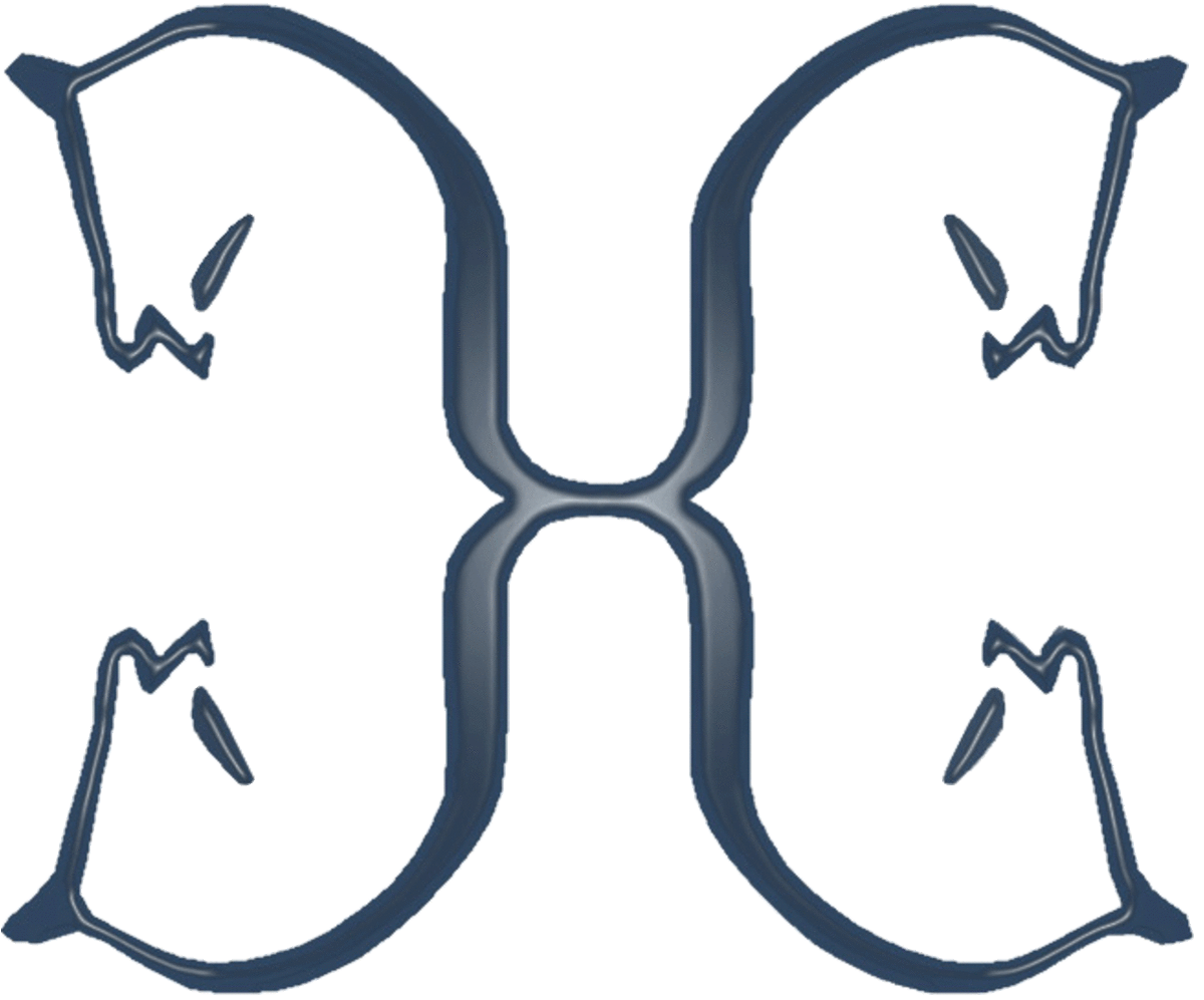 Hippikos - Equestrian Center - Hipica in Vila Verde