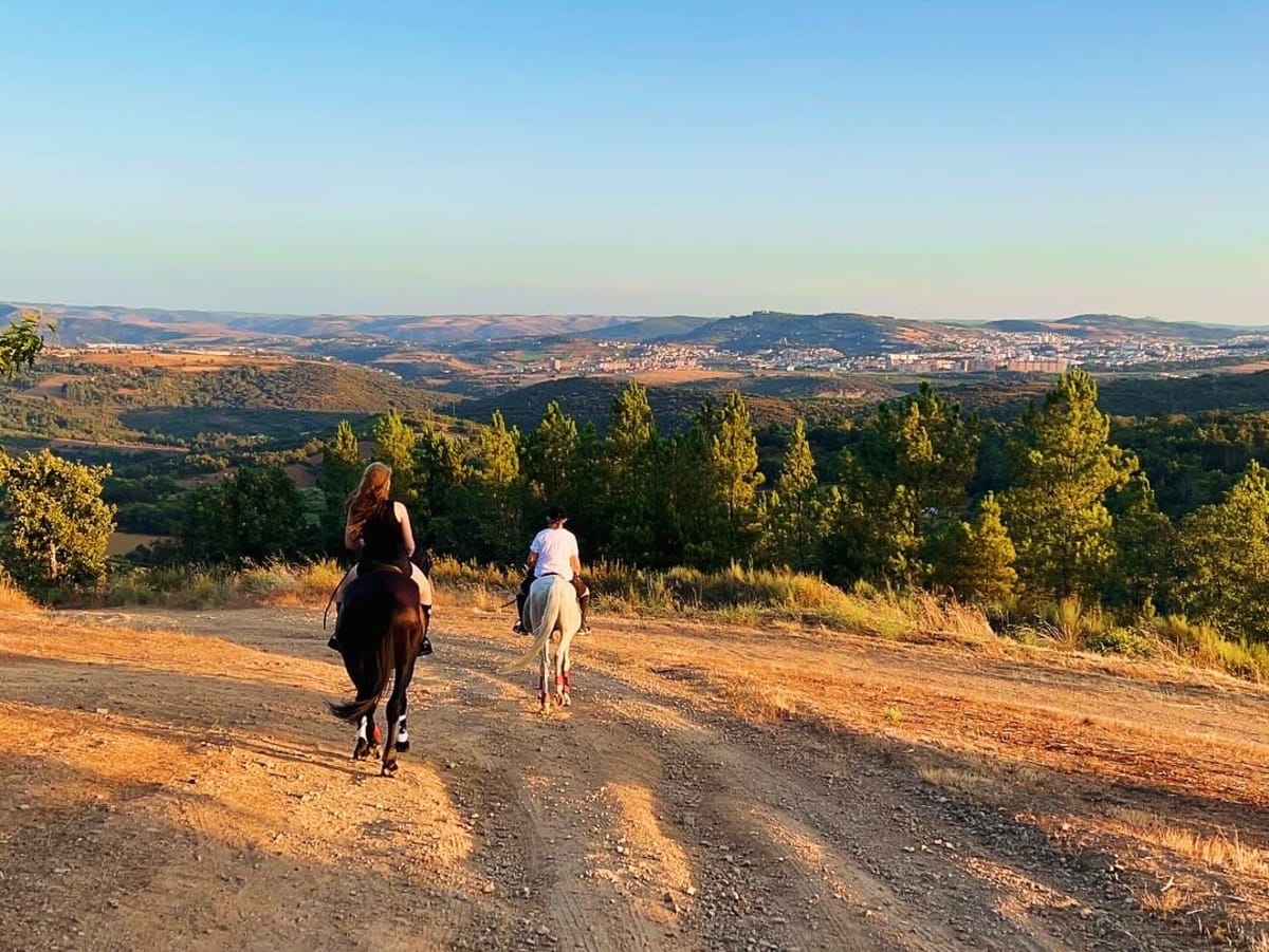 Crinas ao Vento - Hipica en Bragança