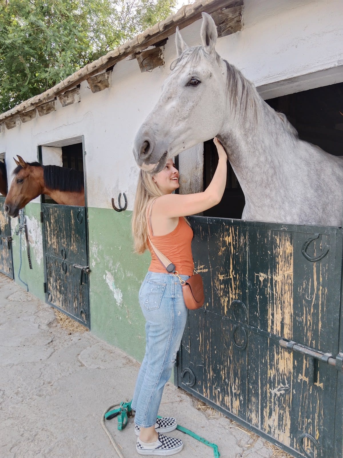 Hípica Montenegro Escuela de Equitación Madrid - Hipica a Madrid