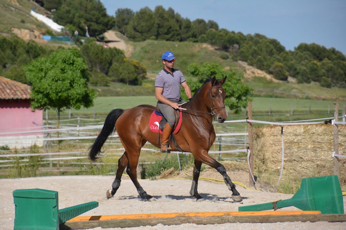 Yeguada Valle de Olid - Hipica en Cubillas de Santa Marta