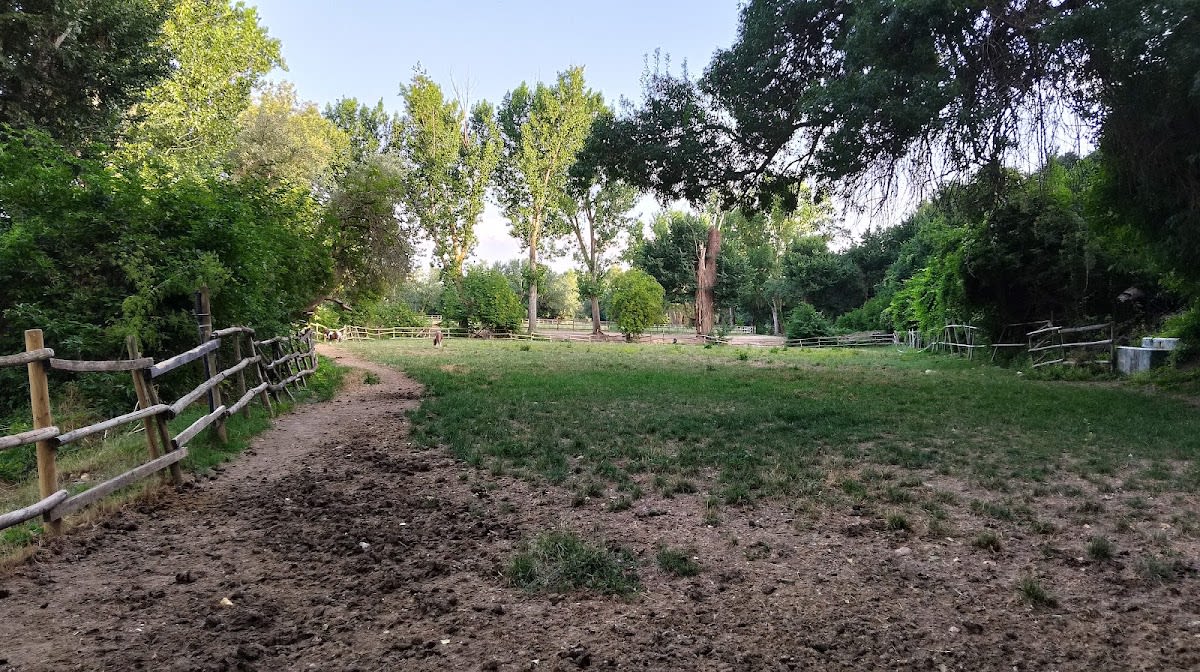 Yeguada Miranda - Hipica em Guadalajara