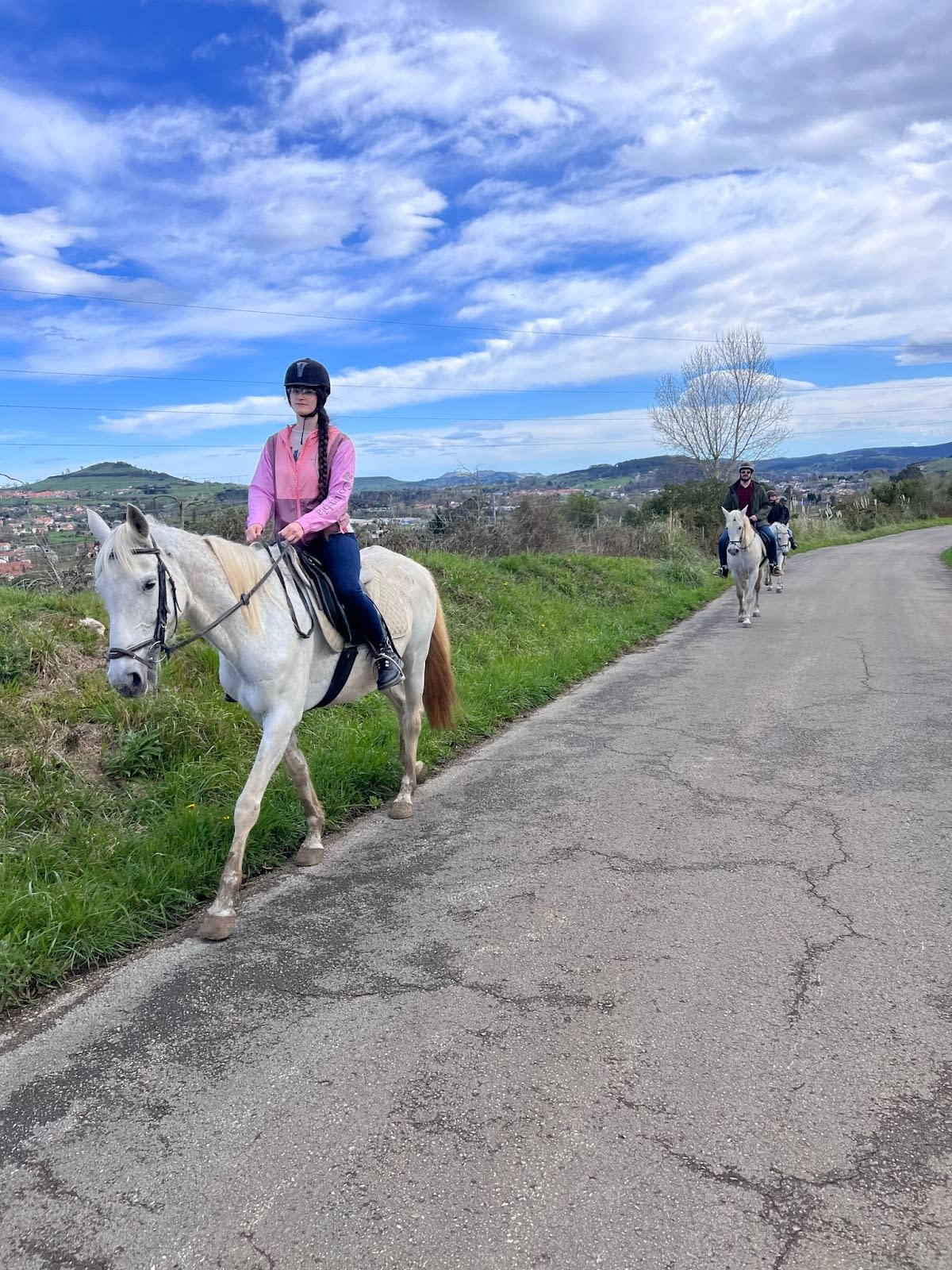 Centro Ecuestre Reocín - Hipica in valles reocin