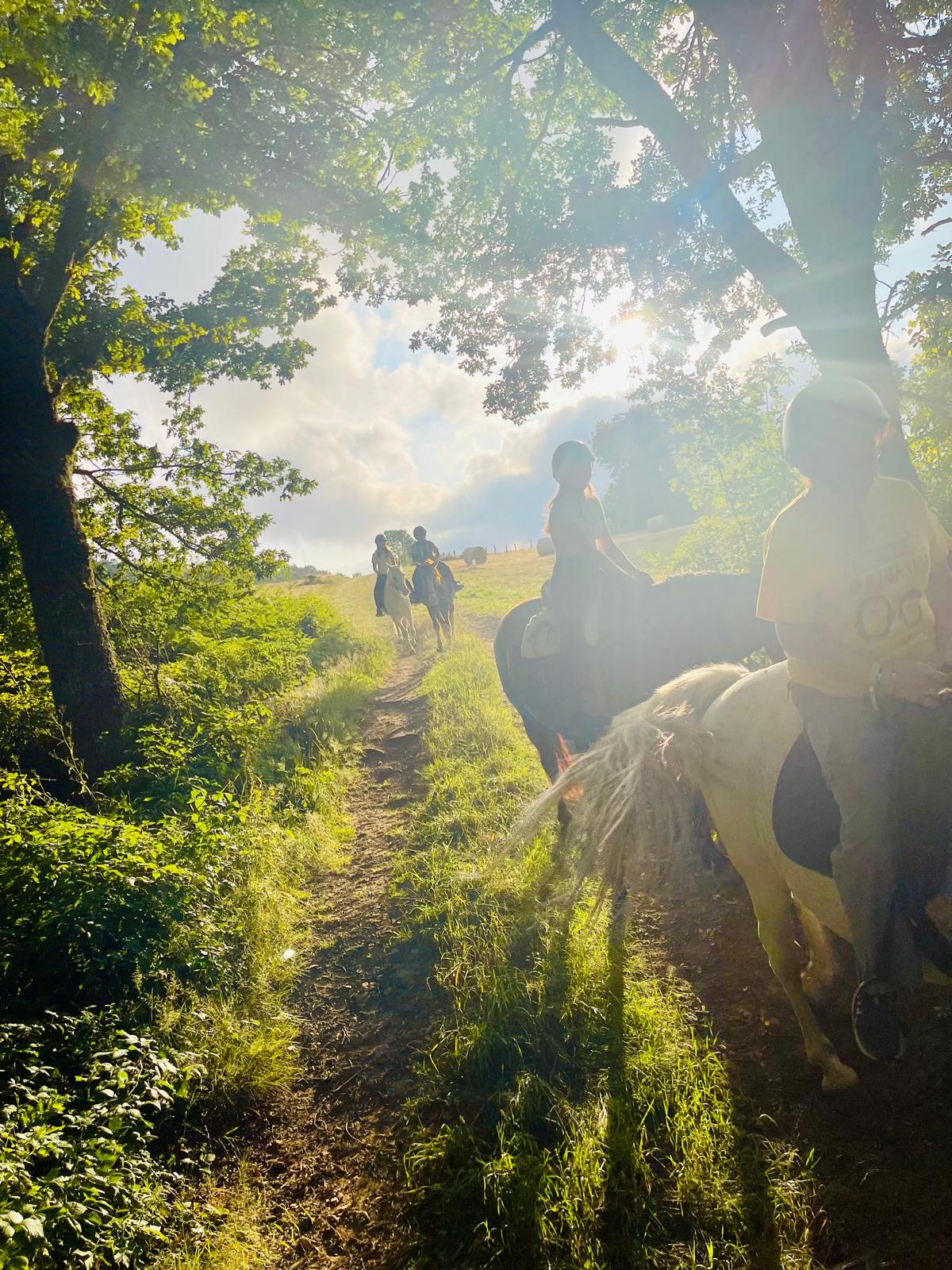 Centro ecuestre Viento del norte - Hipica en Bezana