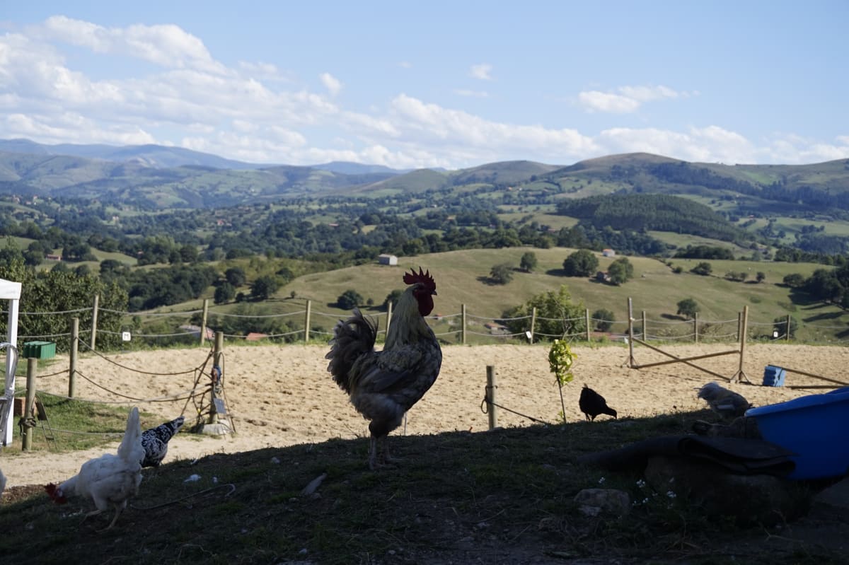 Centro Ecuestre La Espina - Hipica em San Martin de Villafufre