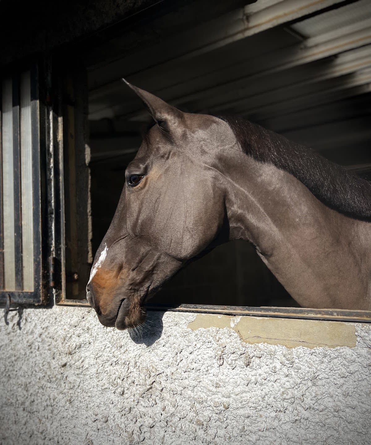 Hípica Porceyo - Hipica in Asturias