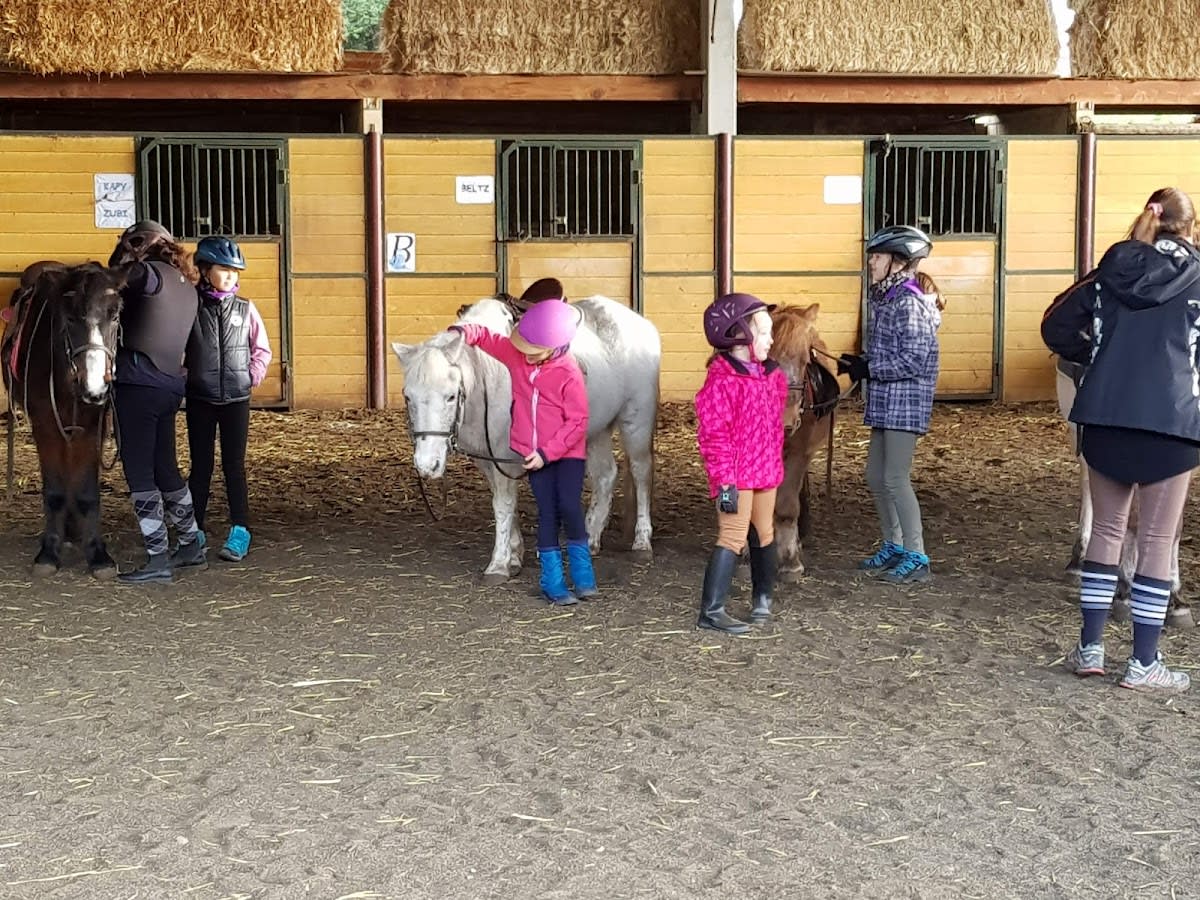 Centro Ecuestre Burdin - Hipica in Valle de Trapaga / Trapagaran