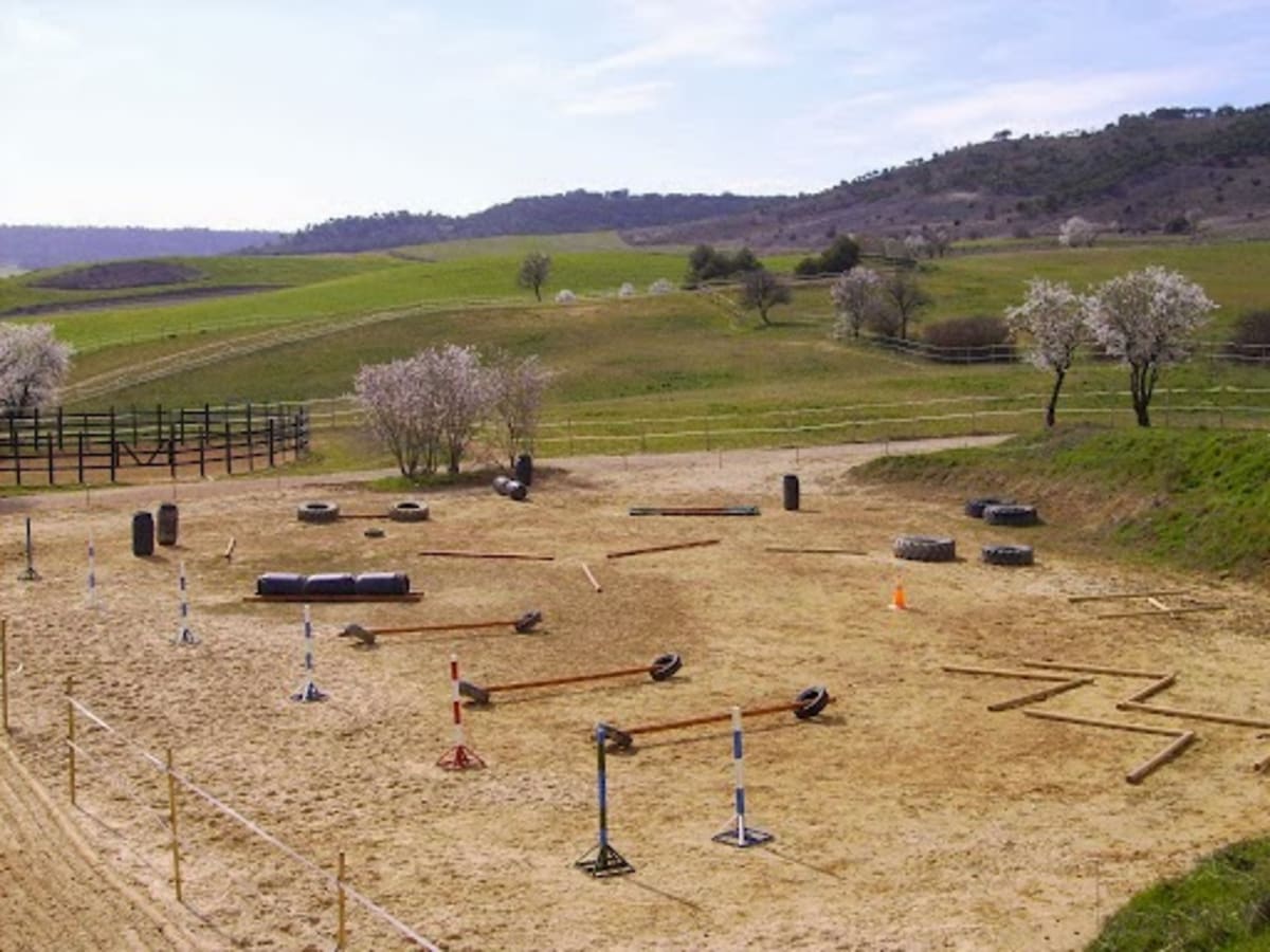 Equibalance - Hipica em Villamuriel de Cerrato
