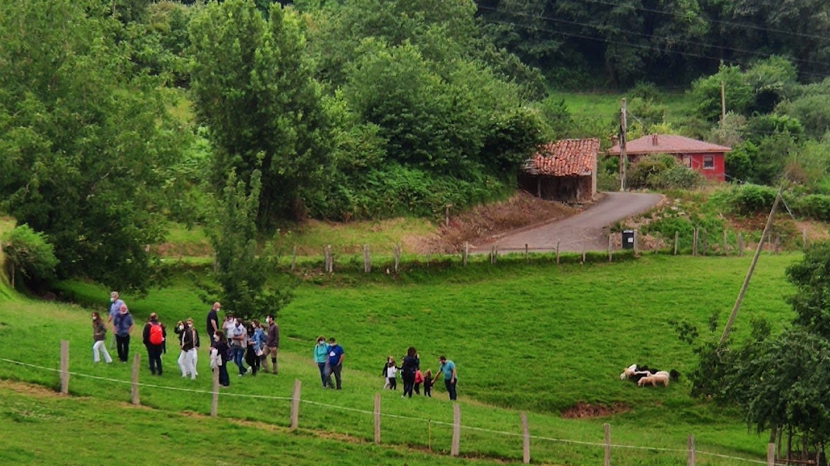 Granja Escuela Conlleu - Hipica in Pernús
