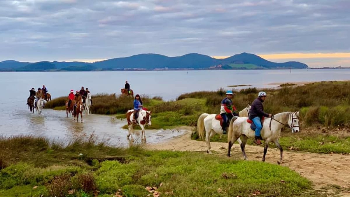 Riding The Regatón - Hipica in Laredo