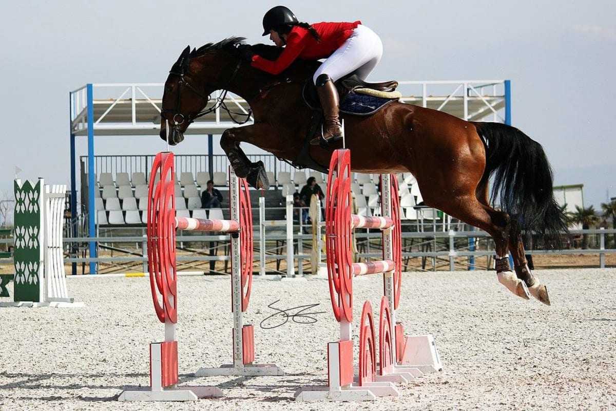Yeguada Palacio de Villafruela - Hipica em Perales