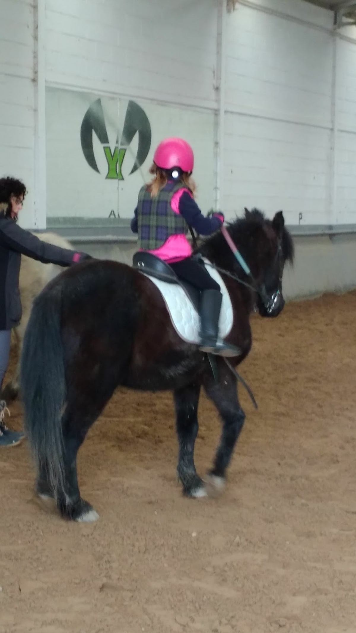 Equestrian Center El Valle de Mena. - Hipica en VIllasuso de Mena