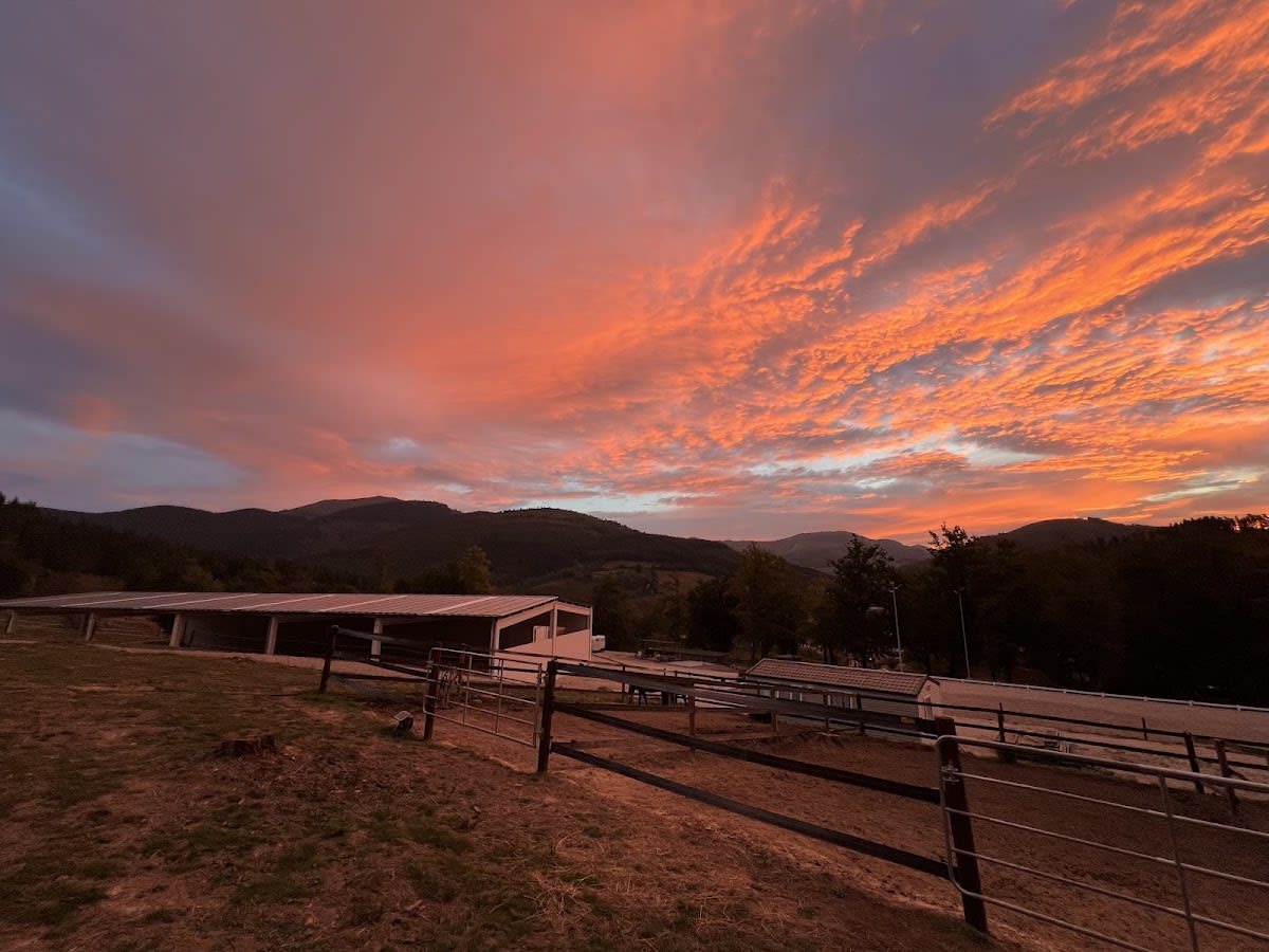 Centro Ecuestre ALDA - Hipica in Araba