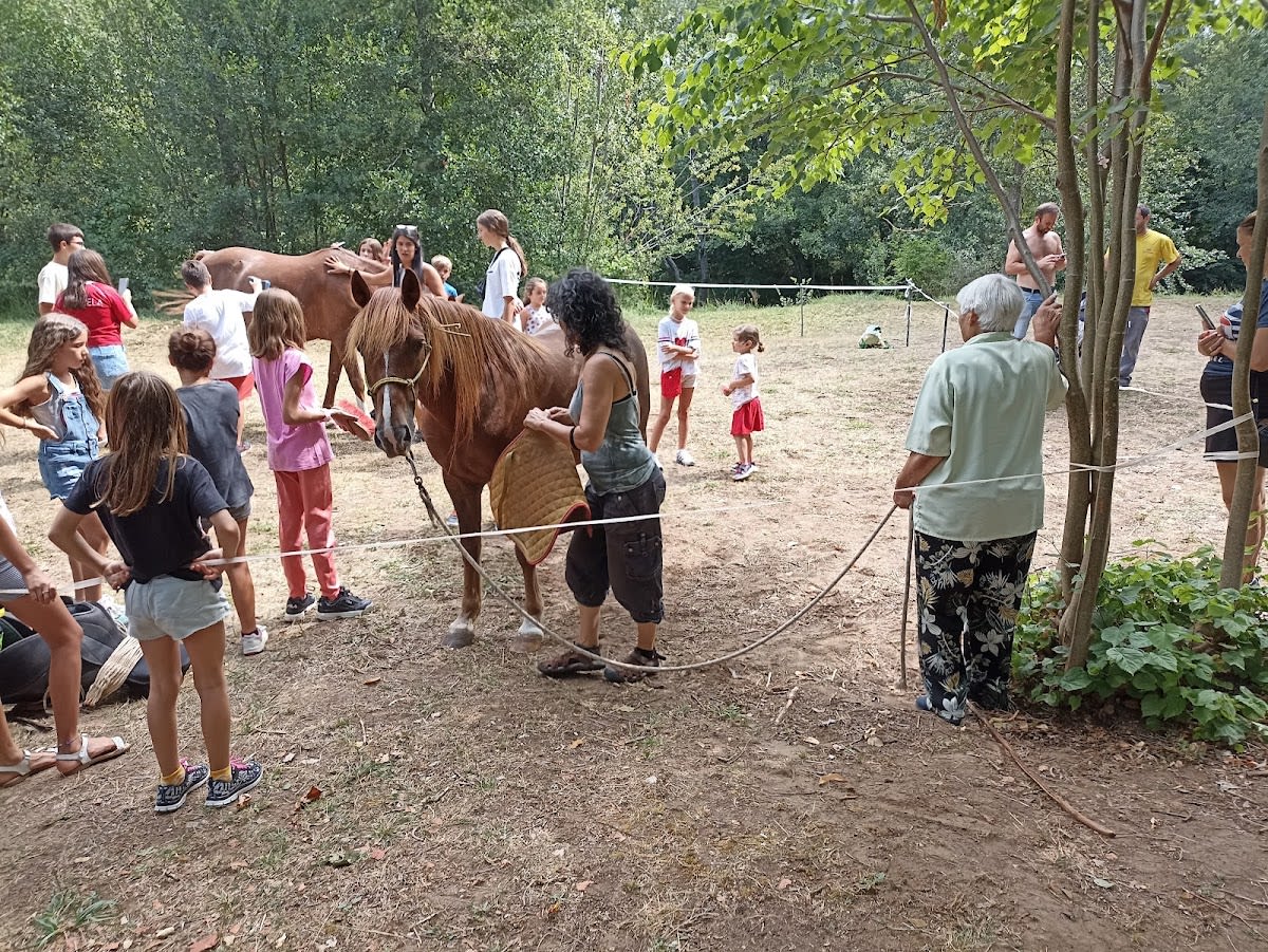 Caballos de Ailanes - Hipica en Ailanes