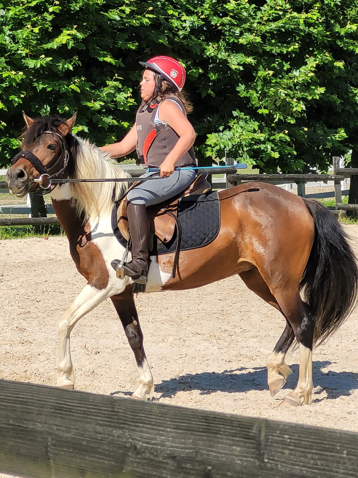 Yeguadas Castanedo - Hipica in Santander