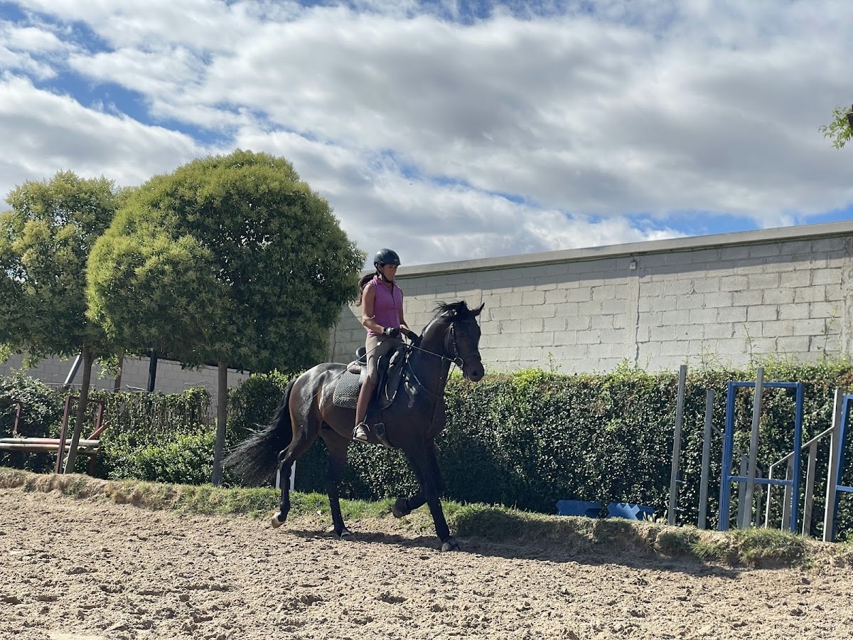 Equestrian Center Los Olivares - Hipica in Logroño