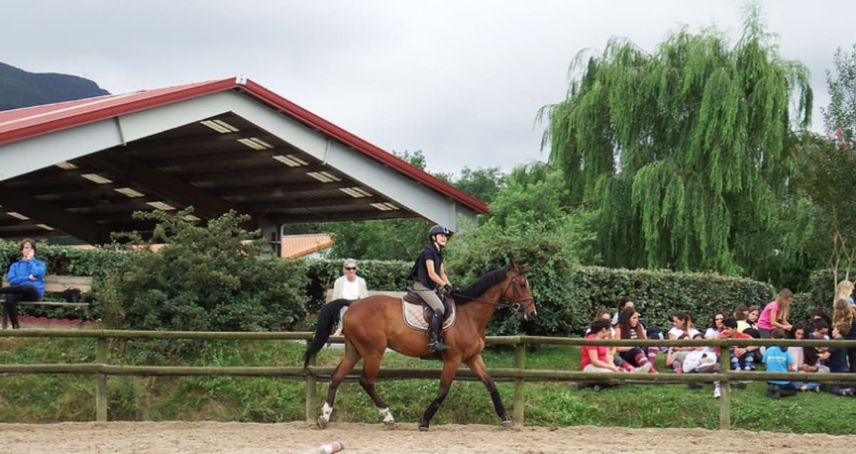 Centro Ecuestre Miracampos - Hipica em Lasarte